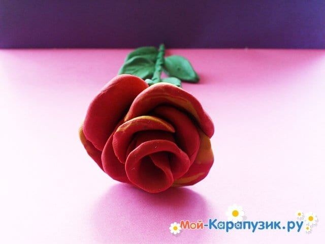 Розы из пластилина - подарок к 8 марта.