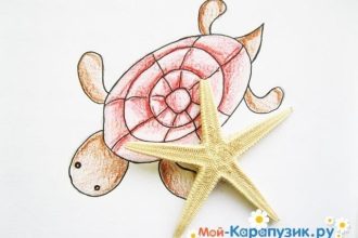 Рисунок черепахи цветными карандашами