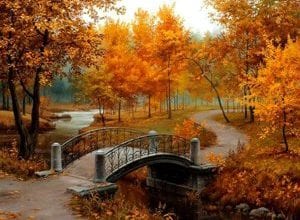 Чудесный Осенний День Сочинение