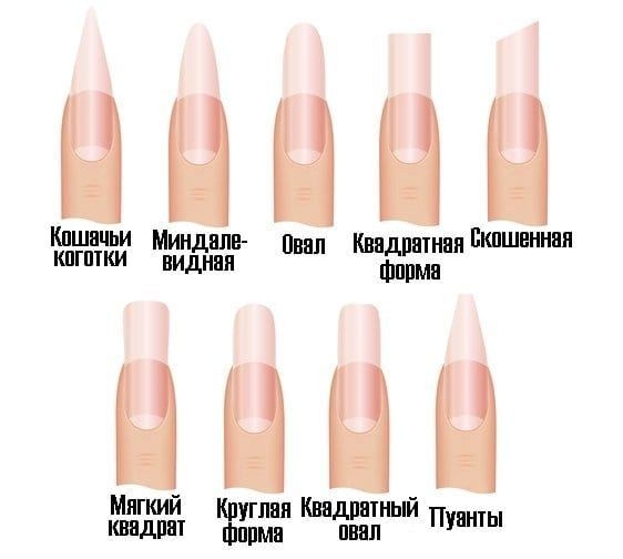 Разновидности ногтей на руках (67 фото)