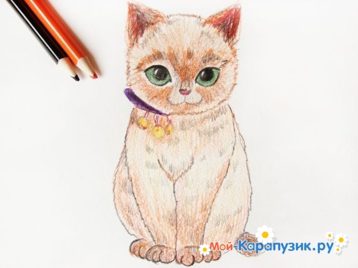 Как нарисовать кошку цветными карандашами