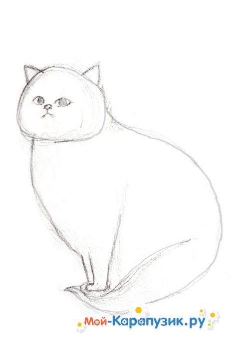 Как рисовать кошку цветными карандашами. (Кот, шерсть, цветные карандаши) | Рисование iso_new