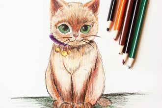 Рисунок кошки карандашами