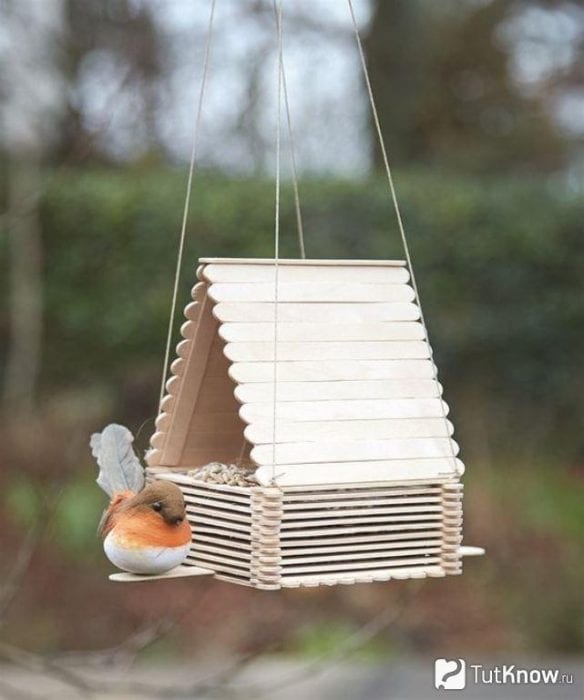 С заботой о пернатых: необычные идеи, как сделать кормушку для птиц своими руками