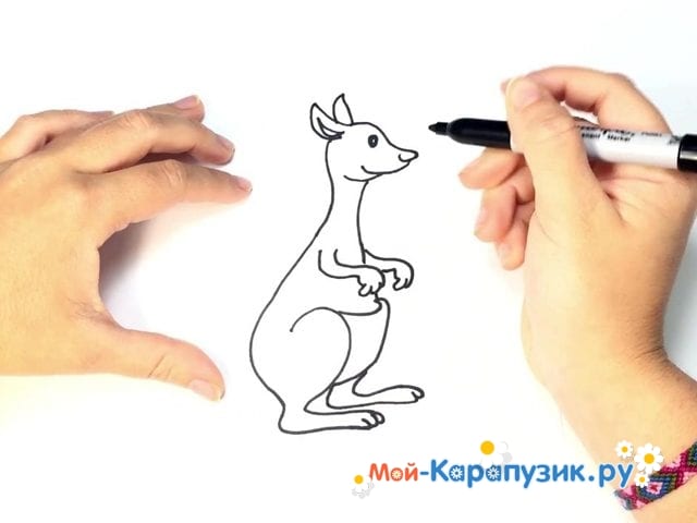 Рисунок кенгуру для детей карандашом 43 фото