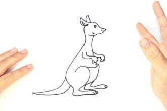 Рисунок кенгуру простым карандашом
