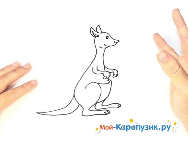 как нарисовать кенгуру - Ravlyk