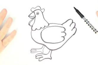 Рисунок курицы простым карандашом