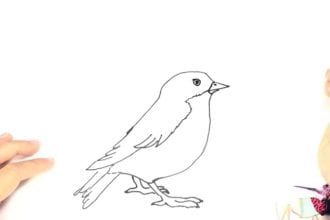 Рисунок птицы простым карандашом
