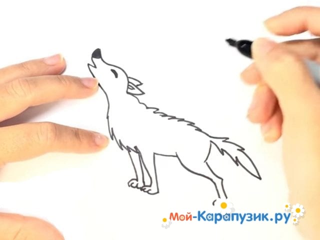 Как нарисовать волка, воющего на луну?